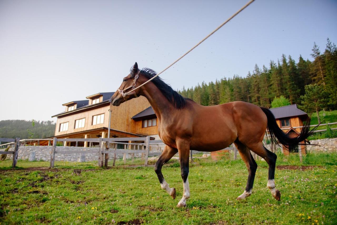 Etno Selo Zminica Otel Žabljak Dış mekan fotoğraf